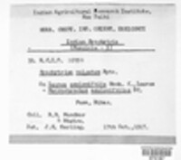 Image Associated With the Occurence
